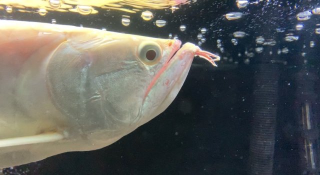 IMG_2187.jpg IMG_2187.jpg