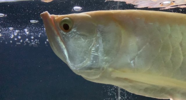 IMG_2188 2.jpg IMG_2188 2.jpg