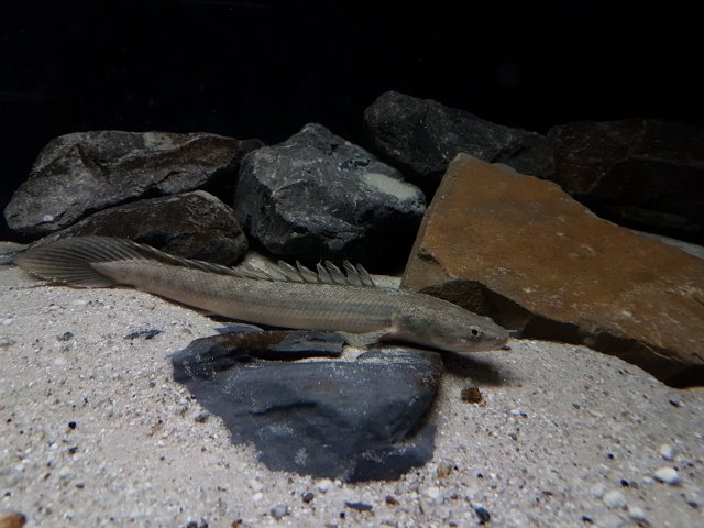 IMG_20190915_141631.jpg IMG_20190915_141631.jpg