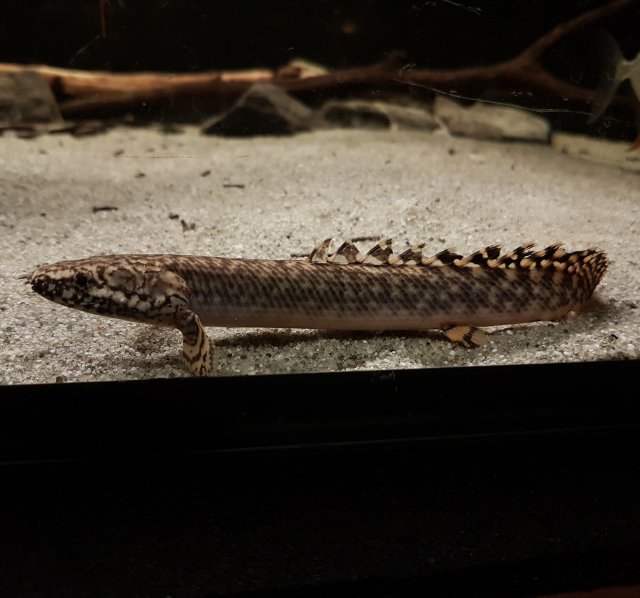 IMG_20190919_202225_622.jpg IMG_20190919_202225_622.jpg