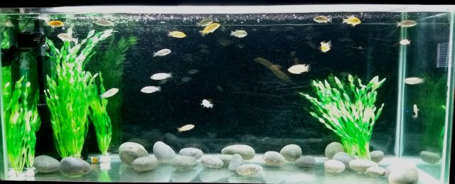 2019-09-15 08.25.28.jpg 2019-09-15 08.25.28.jpg