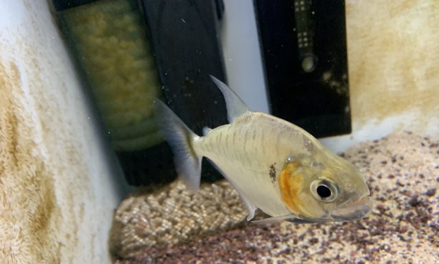 E11BE19C-8BC2-4585-8D62-7A9E7E7E361D.jpeg E11BE19C-8BC2-4585-8D62-7A9E7E7E361D.jpeg