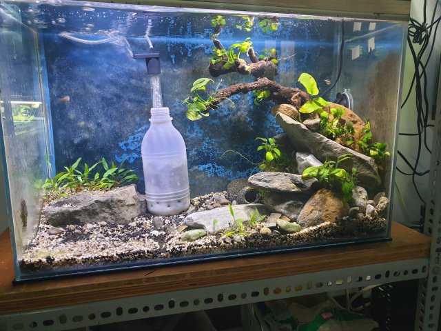 20190918_162823.jpg 20190918_162823.jpg