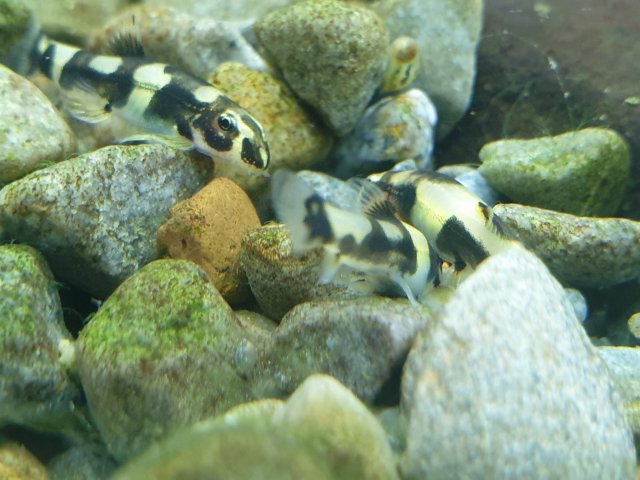 20190505_122838.jpg 20190505_122838.jpg