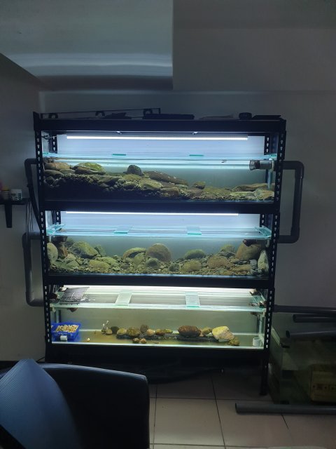 20190525_133946.jpg 20190525_133946.jpg