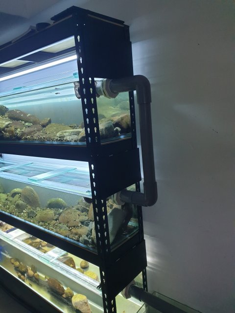 20190525_133955.jpg 20190525_133955.jpg