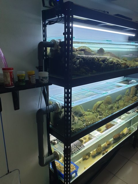 20190525_134004.jpg 20190525_134004.jpg