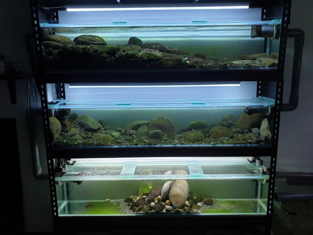 20190623_232657.jpg 20190623_232657.jpg