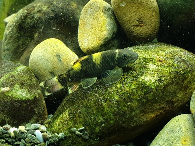 20190704_225224.jpg 20190704_225224.jpg