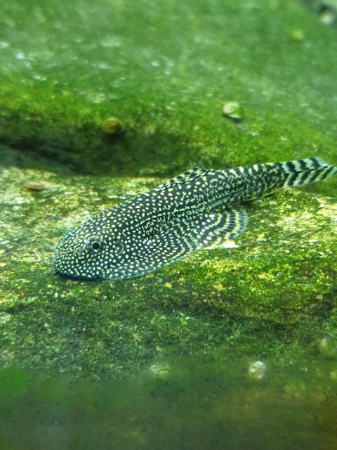 20190918_235354.jpg 20190918_235354.jpg