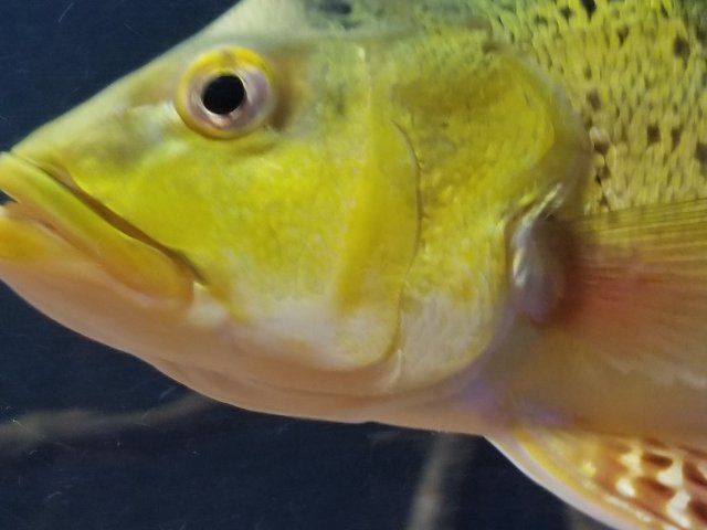 20190923_082314.jpg