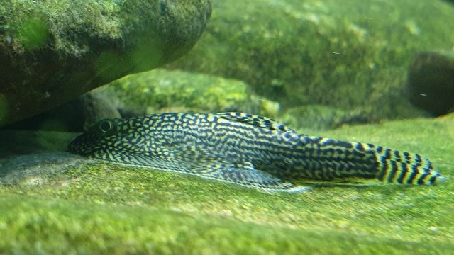 20190922_215619.jpg 20190922_215619.jpg