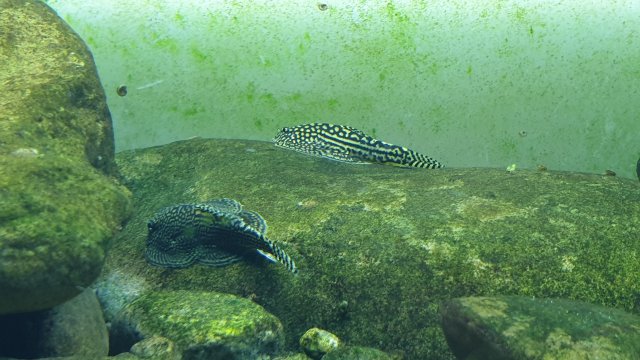 20190922_220538.jpg 20190922_220538.jpg