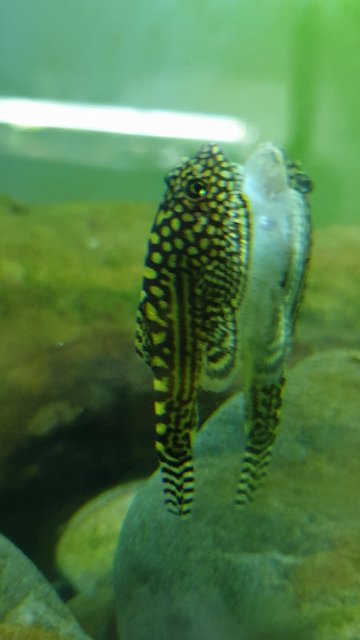 20190922_220610.jpg 20190922_220610.jpg