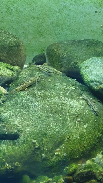 20190922_220621.jpg 20190922_220621.jpg