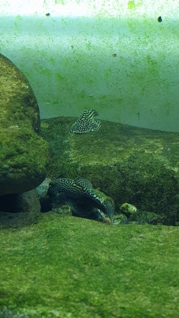 20190922_220634.jpg 20190922_220634.jpg