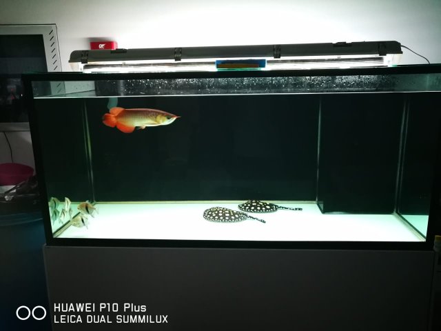 WhatsApp Image 2019-09-22 at 4.39.01 PM.jpeg WhatsApp Image 2019-09-22 at 4.39.01 PM.jpeg