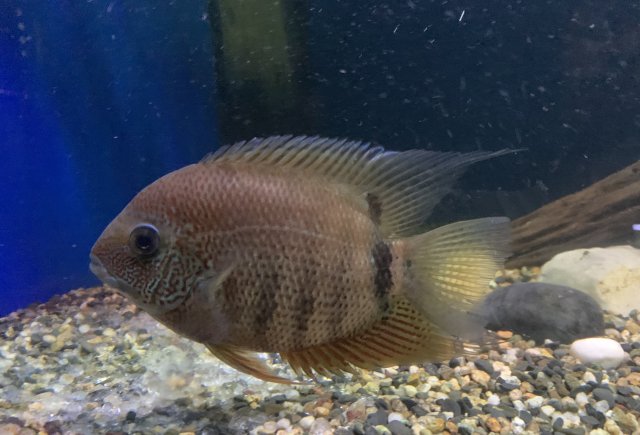 4BE28A82-3E0C-4C8C-B45F-2F384DEF6CE3.jpeg 4BE28A82-3E0C-4C8C-B45F-2F384DEF6CE3.jpeg