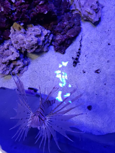 20190925_193434.jpg