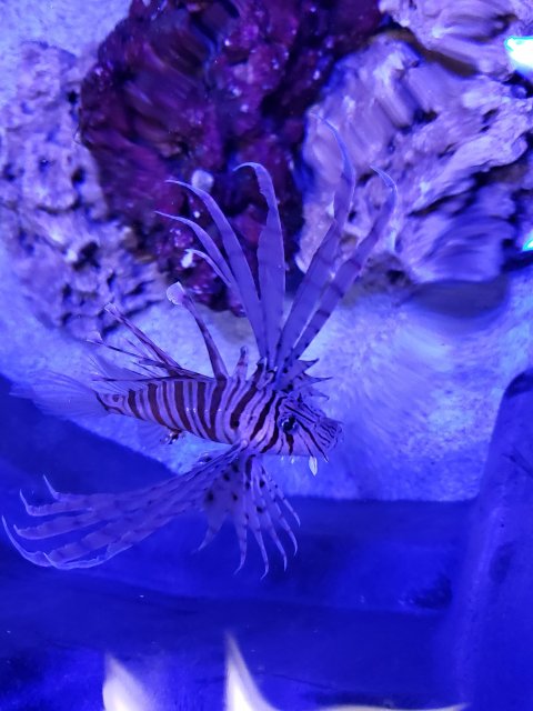 20190925_174122.jpg