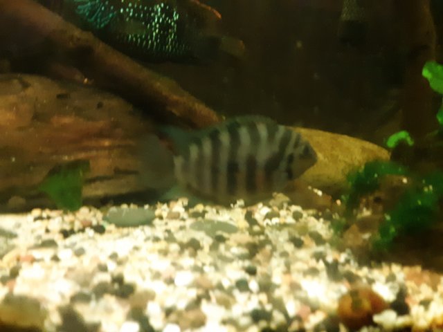 20190928_224144.jpg