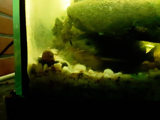 20190928_224055.jpg