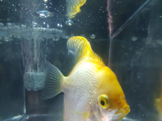 20190929_093904.jpg 20190929_093904.jpg