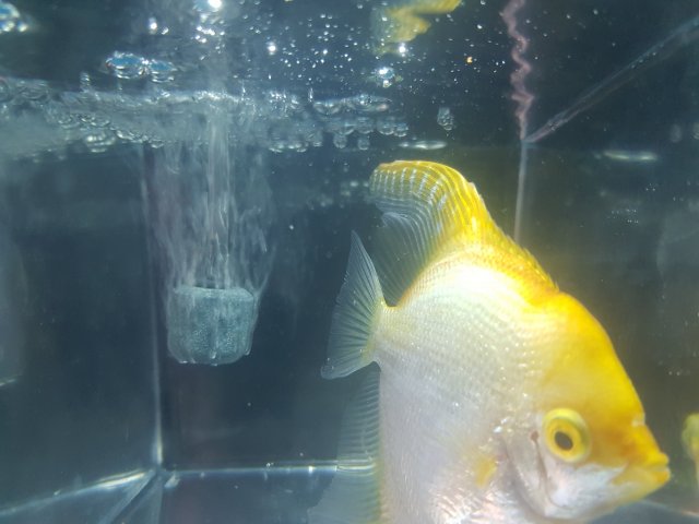 20190929_093844.jpg 20190929_093844.jpg