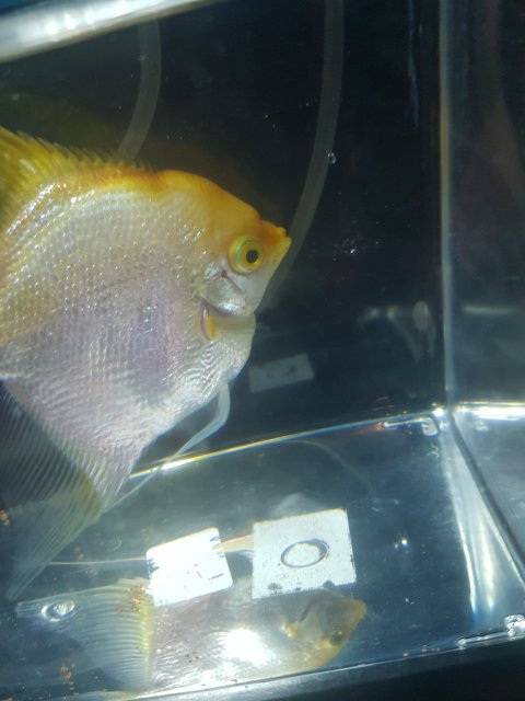 20190929_093124.jpg 20190929_093124.jpg