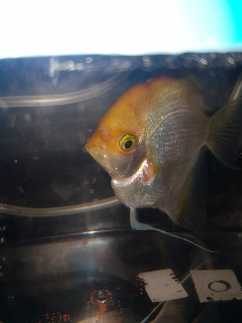 20190929_101306.jpg 20190929_101306.jpg