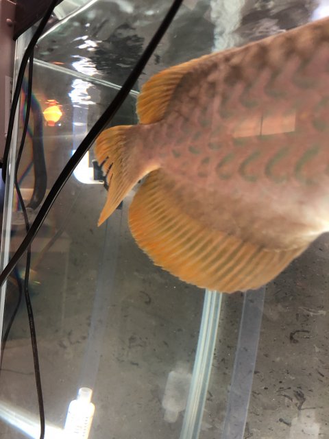 8D755C15-D84D-4FD6-B205-845FE113E433.jpeg