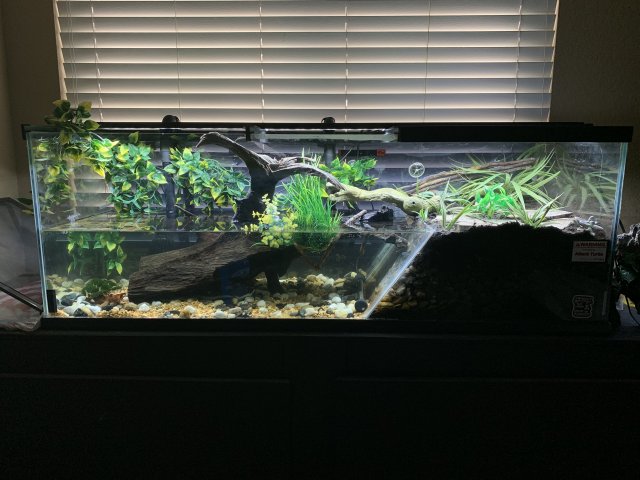 626A41D2-9496-4F66-B2B7-99BC703254A2.jpeg 626A41D2-9496-4F66-B2B7-99BC703254A2.jpeg