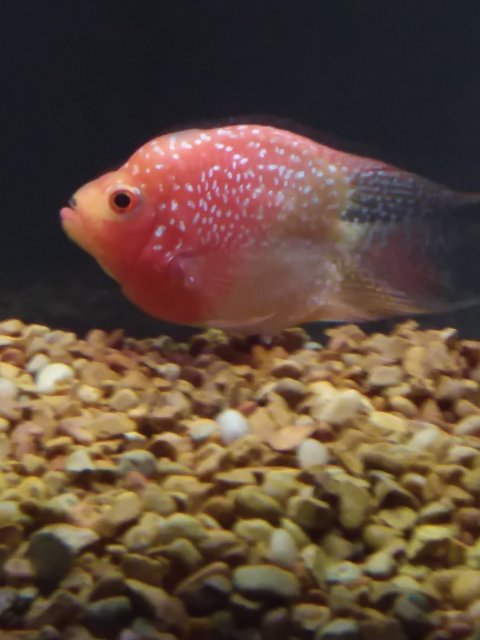 20190817_161645.jpg