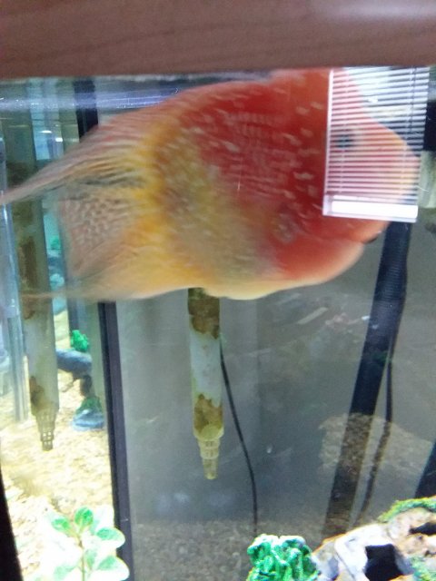 20190929_091939.jpg