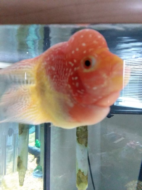 20190929_090255(0).jpg