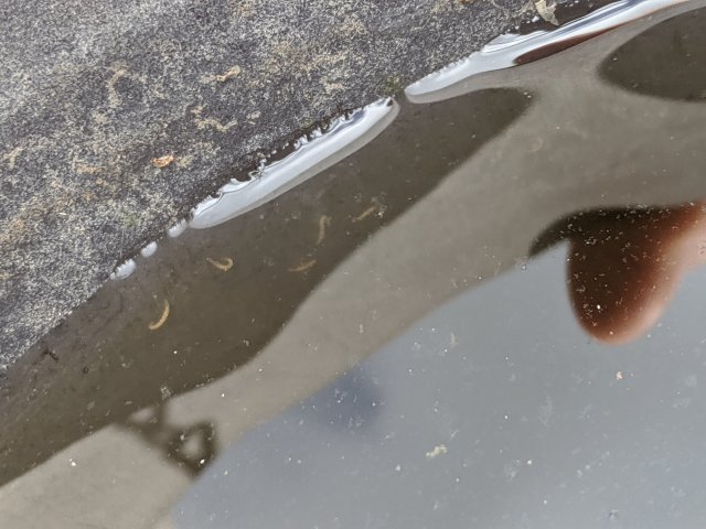 MVIMG_20190930_154932.jpg