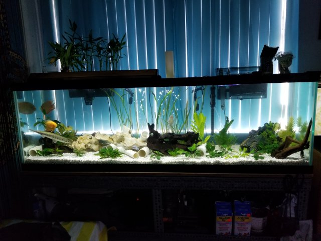 20191001_094951.jpg 20191001_094951.jpg