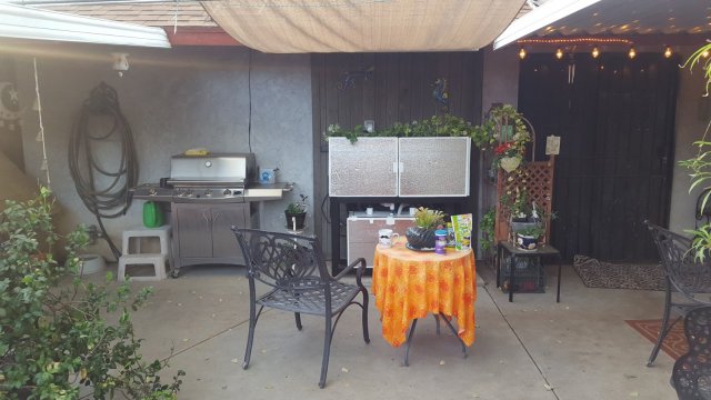 20190930_074149.jpg