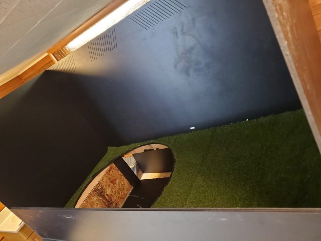 turf.jpg