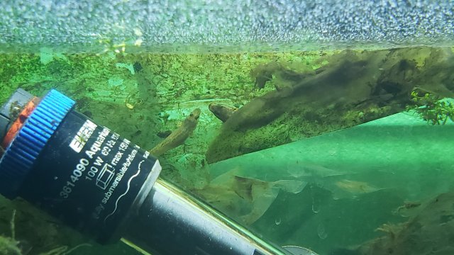 20191001_190411.jpg 20191001_190411.jpg
