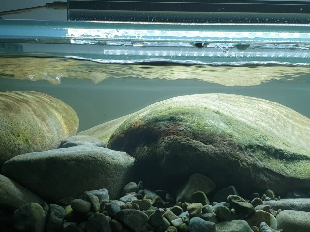 20190404_212103.jpg