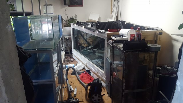20191001_233151.jpg