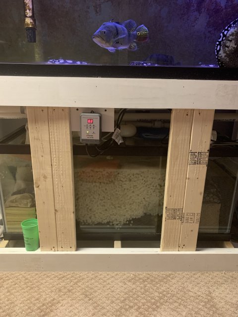 B4294A7D-89DE-4052-8FAC-D2387E7F2C84.jpeg B4294A7D-89DE-4052-8FAC-D2387E7F2C84.jpeg