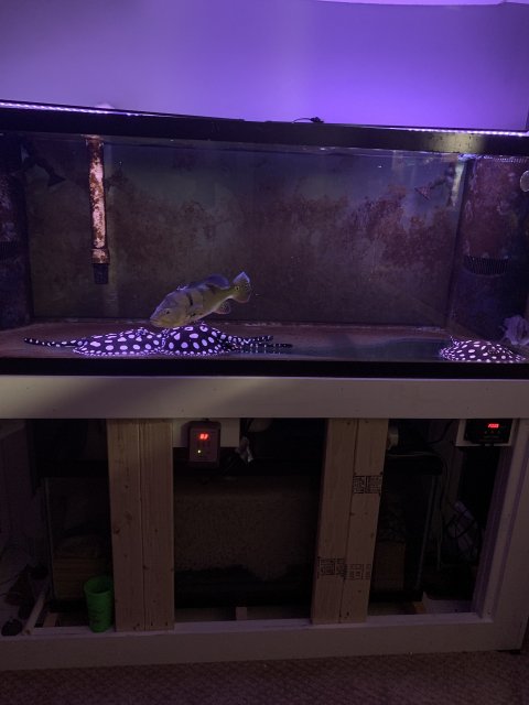 DE803BAA-A807-4E6D-A18B-5166437F1FC4.jpeg DE803BAA-A807-4E6D-A18B-5166437F1FC4.jpeg