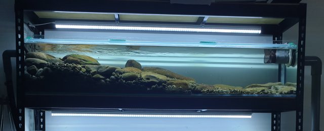 20190426_232829 (2).jpg