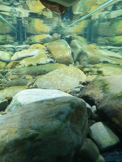 20190412_220532.jpg