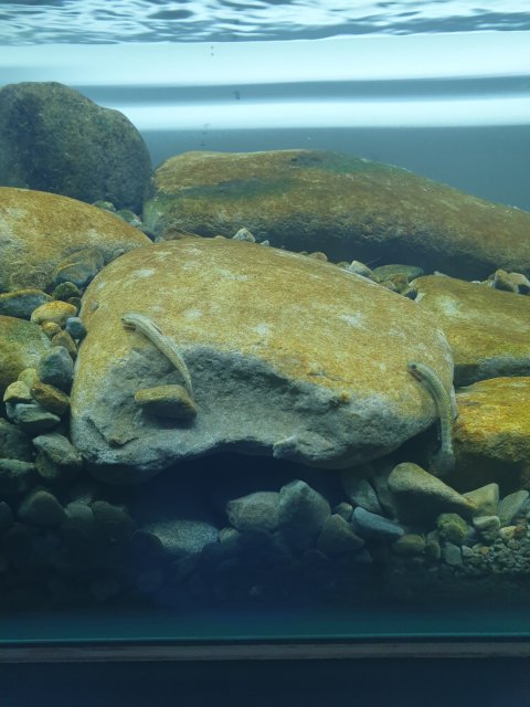 20190415_142902.jpg