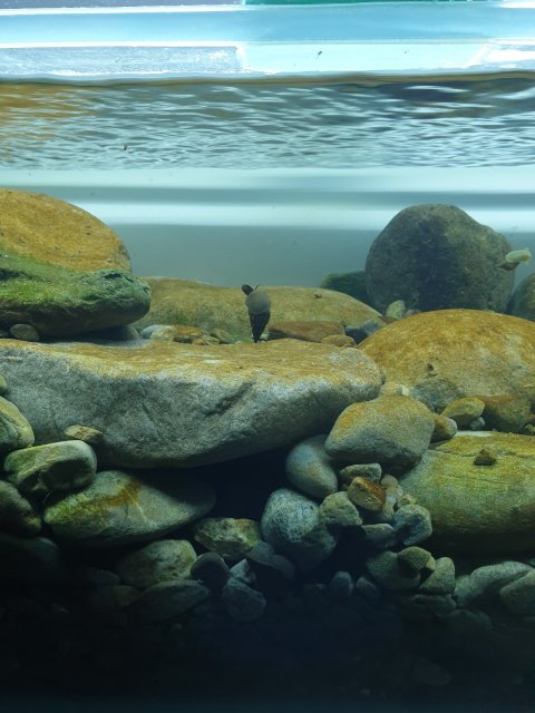 20190415_142911.jpg