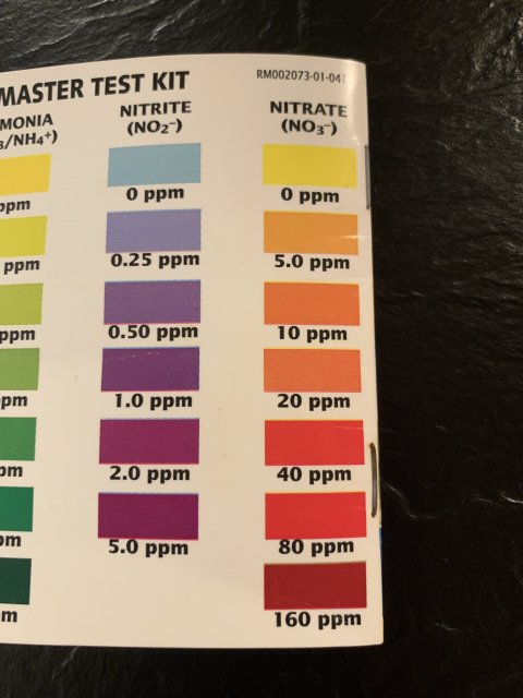 2286B032-A9D7-4FB8-81E7-F77F7228948D.jpeg 2286B032-A9D7-4FB8-81E7-F77F7228948D.jpeg