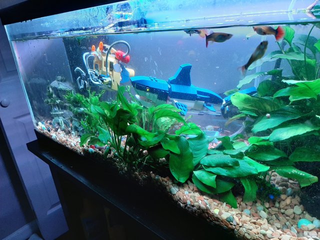 20191002_222207.jpg